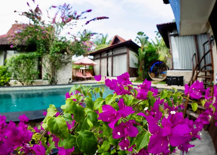 Appartamento Ocean View Bungallow And Recovery
